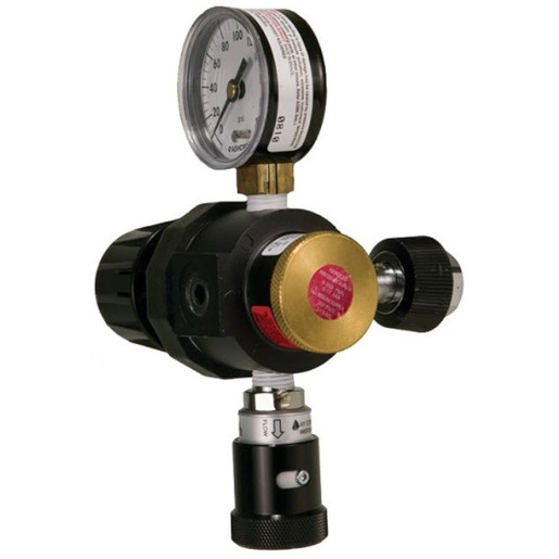 Nitrogen Regulator, 0-200 PSI Adjustable Pressure, DISS Female Handtight Inlet x Schrader Air QC Coupler Outlet, Wall Mount