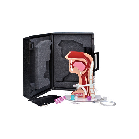 Tracheostomy Tube Observation Model, Tracheostomy T.O.M., Polyurethane, Clear Acrylic Platform